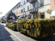 Sfilano i pecorai